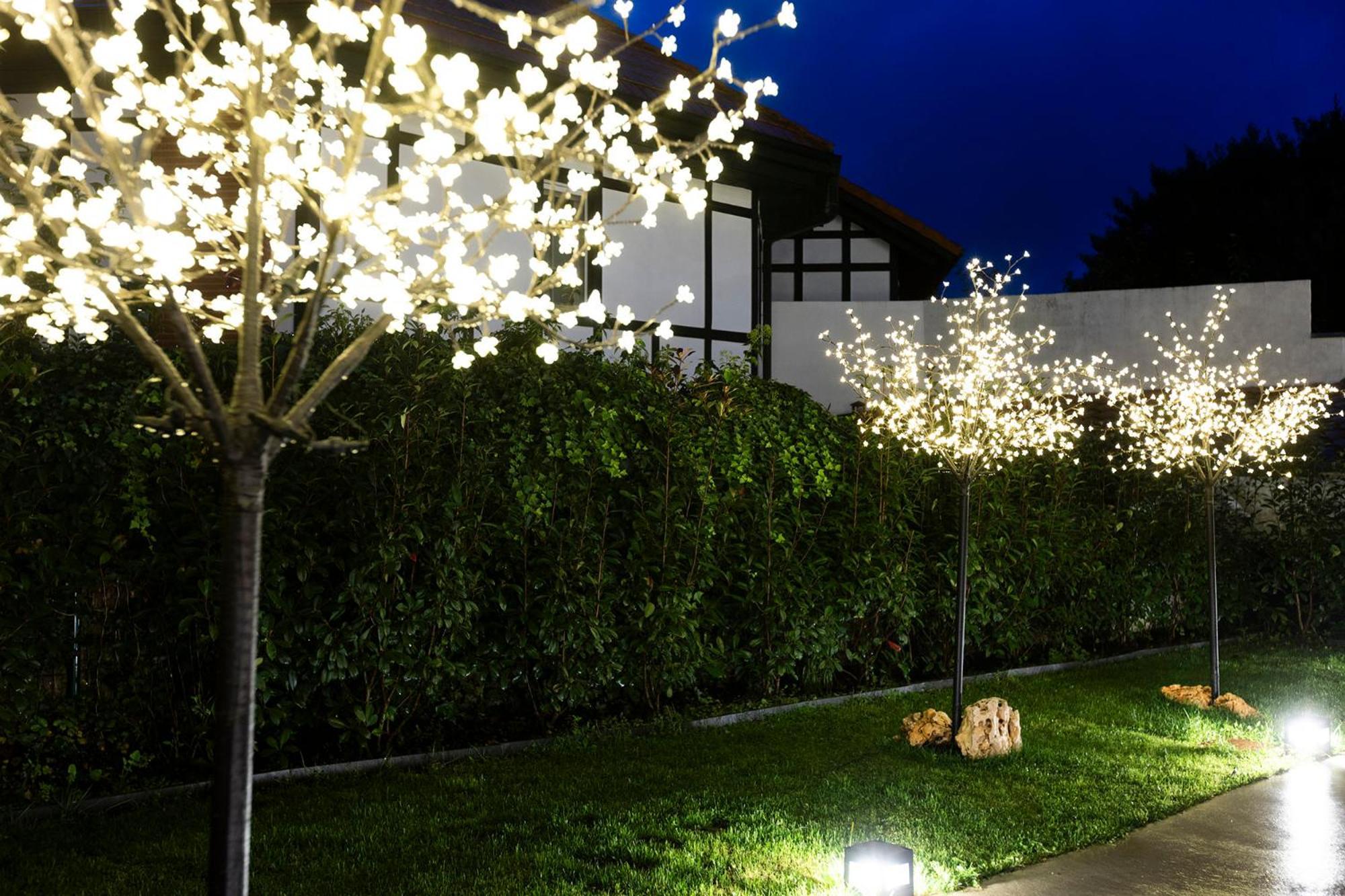 Kofradia Apartment Hondarribia Exterior photo